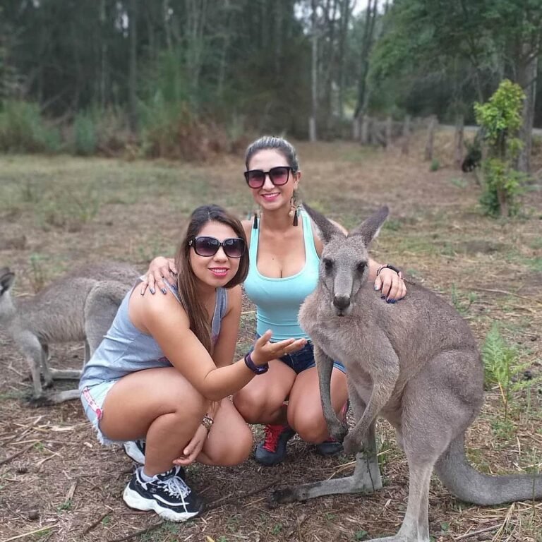 Kangaroo 11