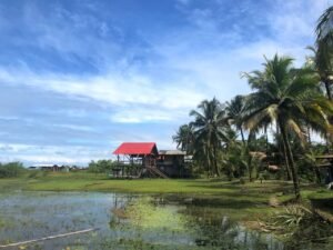 House with red roof being built near a lagoon with coconut trees